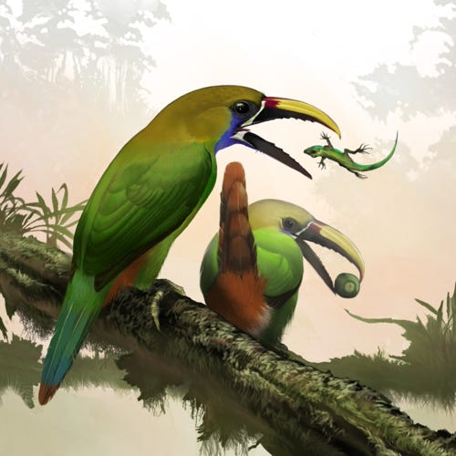 Northern Emerald Toucan painting