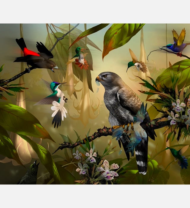 A small death and a mobbing